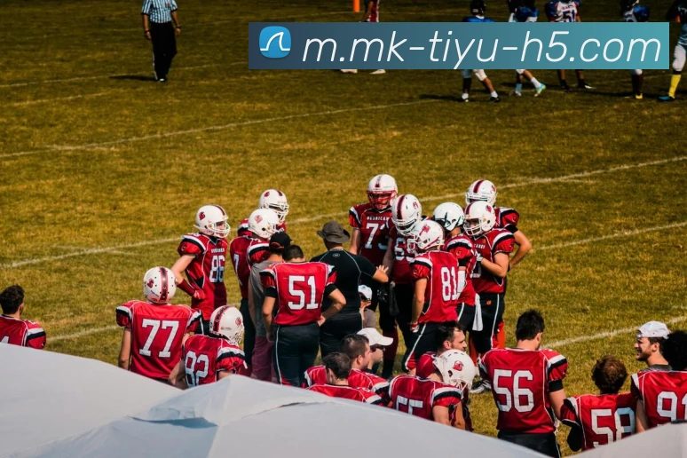 多媒体互动体验